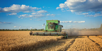Food & Agro Business Management and Allied Activities